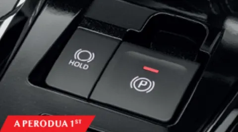 Electronic Parking Brake
