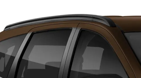 Sporty Roof Rails