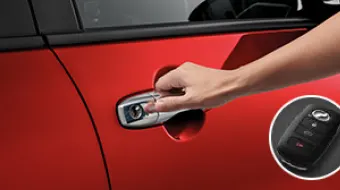 Electrostatic Switch Door Handle